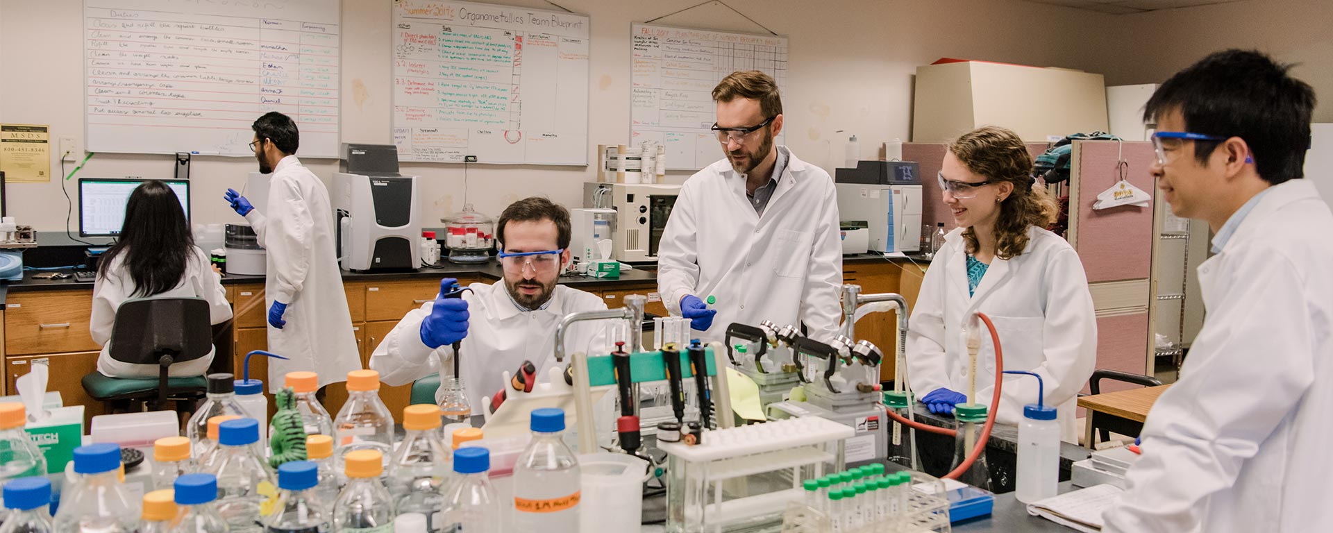 UMBC CBEE Graduate Students conducting research with faculty and postdocs.