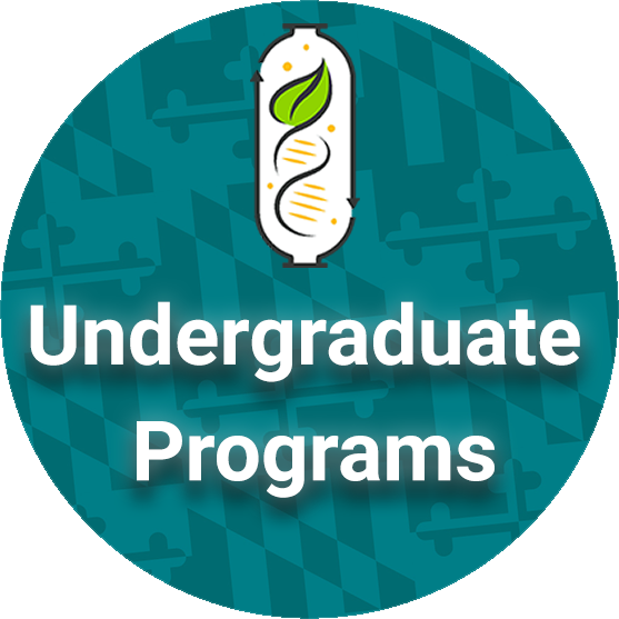 Department Of Chemical Biochemical And Environmental Engineering Umbc