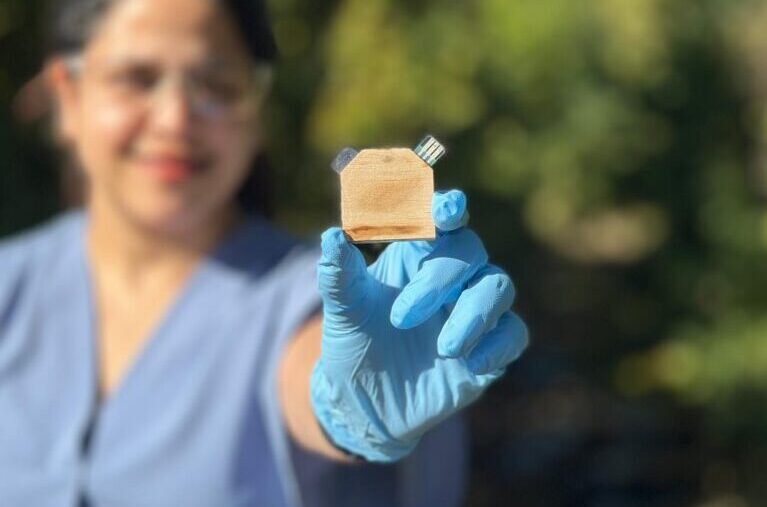 Simple Wood Makes Advanced Sensors